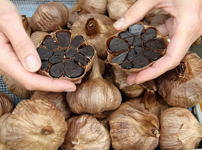 خرید انواع سیر سیاه همدان + قیمت